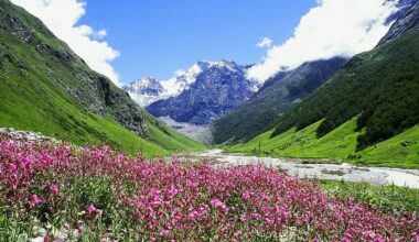 valley of flowers chamoli uttarakhand