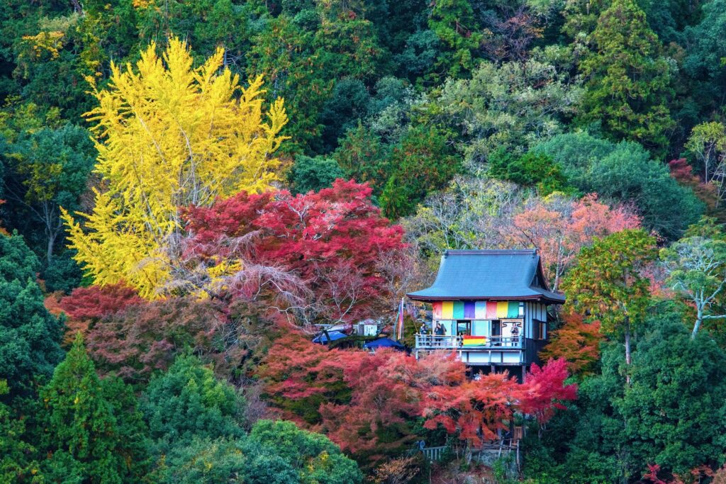 Kyoto, Japan – A Symphony of Autumn Colors